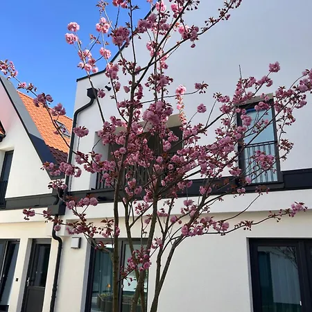 Apartment Boardatfour Lingen