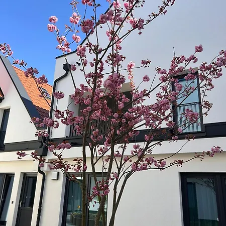 Boardatfour * Lingen